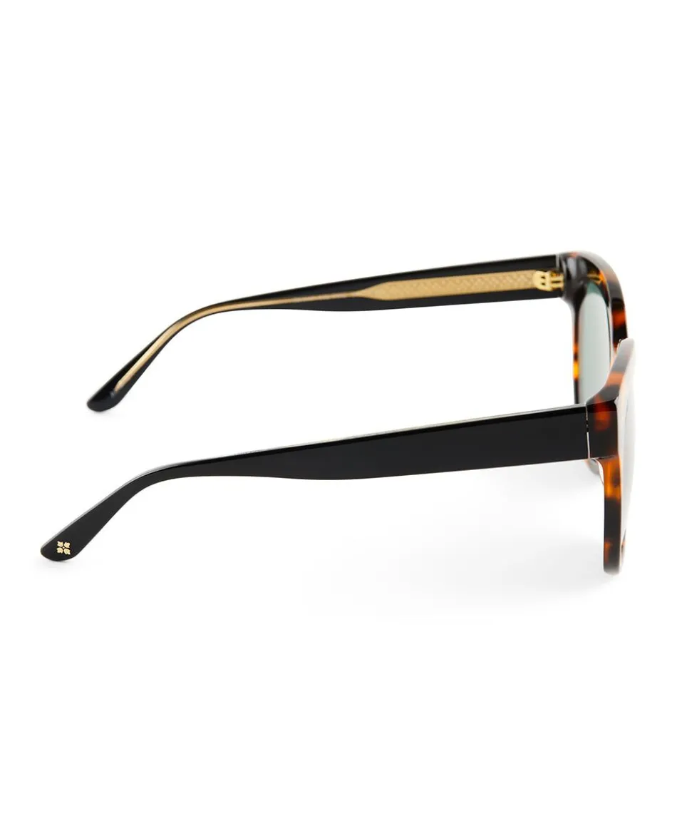 Patricia Nash Audrey Sunglasses| Square