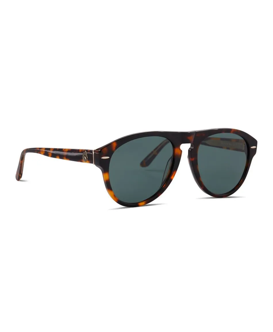 Patricia Nash Mcqueen Sunglasses| Aviator/Wireframe