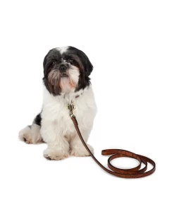 Patricia Nash Pet Leash 1/2