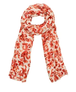 Patricia Nash Scarf| Scarves